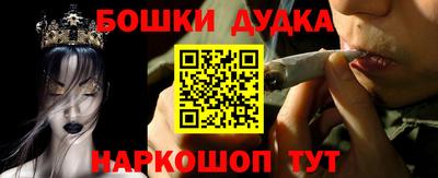 МДПВ Будённовск