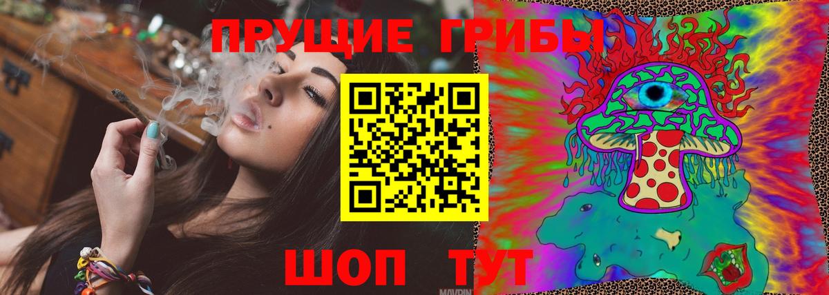 Псилоцибиновые грибы GOLDEN TEACHER Павлово